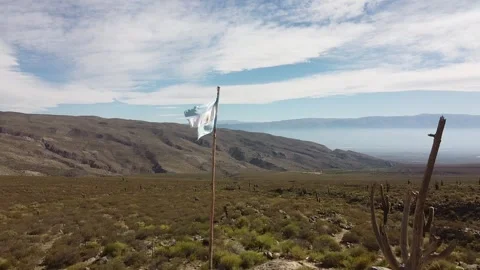 Argentine flag Video stock 251034448