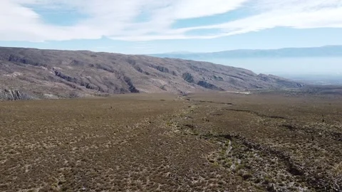 Argentine flag Video stock 251034596