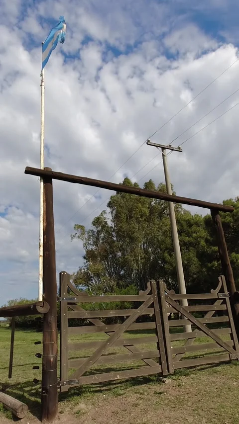 Argentine flag waving on the side of a gate in a field. 4k footageVertical Stock Footage 252398991