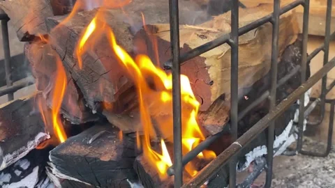 Argentine grilled meat. Stock Footage 155986933