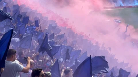 Argentine soccer audience in stadium singing waving flags Stock Footage 222012012