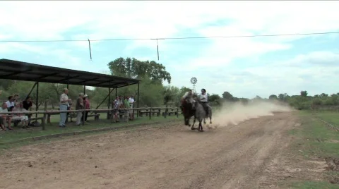 Argentinean Gauchos Stock Footage 663328