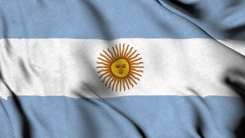 Argentinian Flag with Sun of May Emblem Stock Footage 314285608