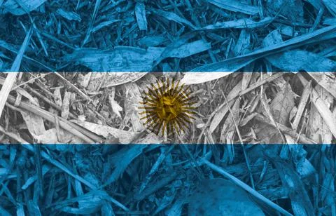 Argentinian flag texture as background Stock Illustration