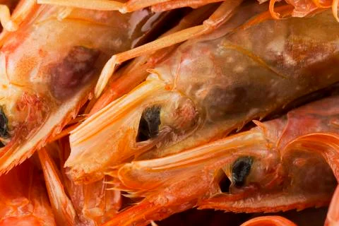 Argentinian king prawns Stock Photos
