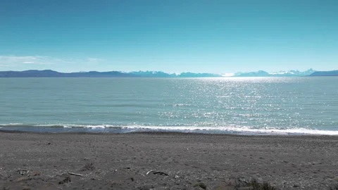 Argentinian Majesty Video stock 297262054