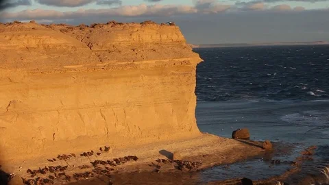 Argentinian south landscape 스톡 동영상 77849789