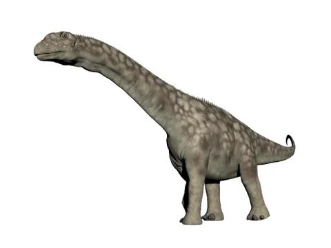 Argentinosaurus dinosaur, white background. Illustrazione stock