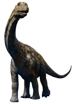 Argentinosaurus juvenile Stock-Illustration