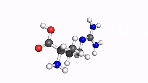 Arginine molecule, rotating model Stock Footage 79799681