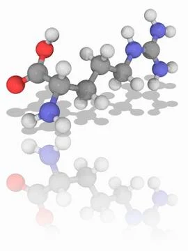 Arginine organic compound molecule Stock Illustration