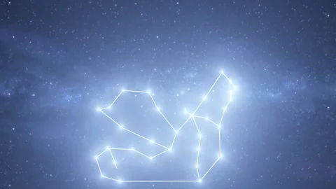 Argo Navis Constellation Star Map Animation Stock Footage 333275646