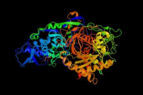 Argonaute-2 (3d model), a part of the Argonaute protein family, which plays.. Ilustração Stock