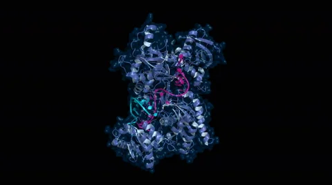 Argonaute 2 protein bound to guide and target RNAs, rotating model Stock Footage 59834105