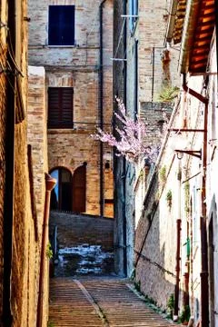 Arhitecture from Urbino Stock Photos