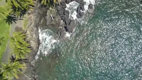 Arial drone flight over Hawaii passing road Stock Footage 166637618