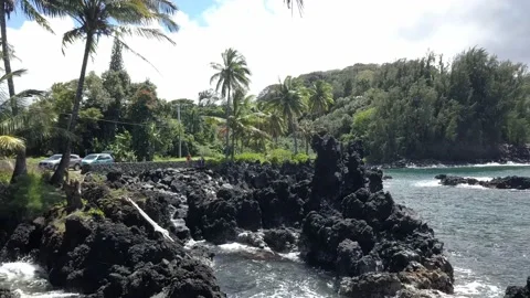 Arial drone flight over rocks Hawaii Stock Footage 166637709
