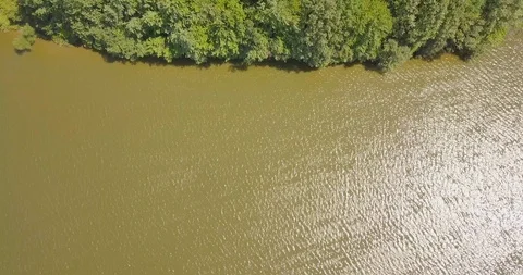 Arial Drone lake to trees overhead 스톡 동영상 94114000
