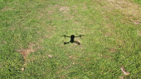ARIAL DRONE SHADOW LOW OVER GREEN GRASS MOVING AT SPEED 1 库存影片 115645575
