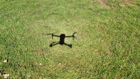 ARIAL DRONE SHADOW LOW OVER GREEN GRASS MOVING AT SPEED 2 库存影片 115646577