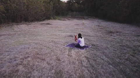 Arial Drone Soars Past Cute Corgi Dog and Woman Relaxing on Blanket in Grass Stock Footage 165310784