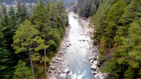 Arial Drone video through the a Forest and River Stock Footage 110174459