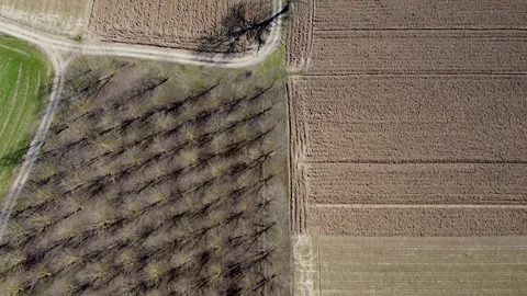 Arial drone view of orchard and field in early spring. Stock Footage 154720778