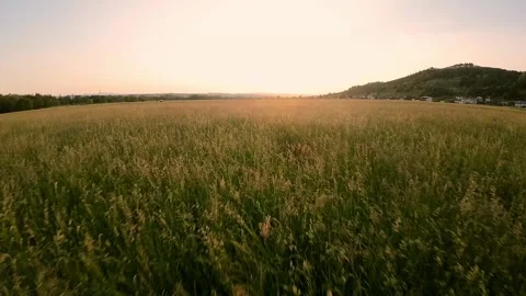 Arial footage of large field during sunset 스톡 동영상 243369628