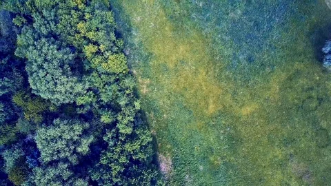 Arial forest drone flight view Stock Footage 112150738
