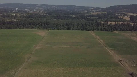 Arial of grass fields Stock Footage 104267018