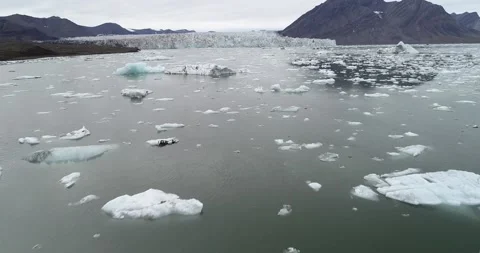 Arial of ice and icebergs in front of glacier on Svalbard Stock Footage 146981619