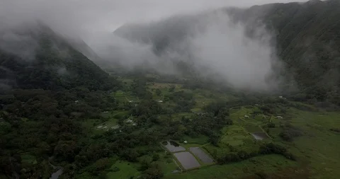 ARIAL OF JUNGLE VALLEY WITH RICE FIELDS Stock Footage 127885431