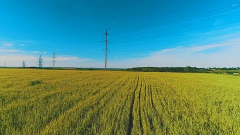 Arial movement flight near high voltage electricity poles and power lines at Stock Footage 110869033