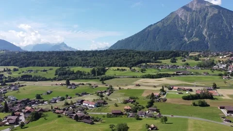 Arial Pan around 360 shot showing nature and wildlife  Stock Footage 201882824