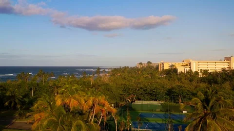 Arial rising drone shot overlooking palm trees and ocean at sunset 스톡 동영상 124225186