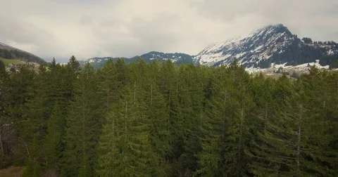 Arial Shot Arvenbüel Stock Footage 78780166