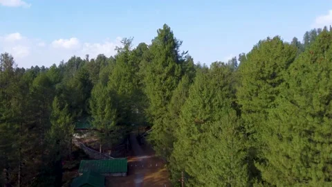 Arial shot of beautiful huts in forest in hilly area of Pakistan Stock Footage 210856433