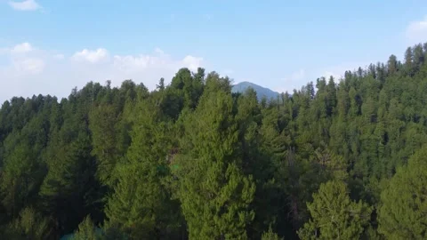 Arial shot of beautiful huts in forest in hilly area of Pakistan (2) Stock Footage 210856971