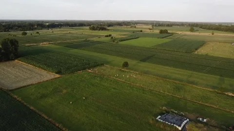 Arial shot of the countryside Stock Footage 201215302