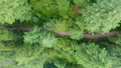 Arial shot of hill station in Murree Pakistan (14) Stock Footage 199249986