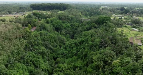 Arial shot of river valley and lush green jungle and forest landscape Stockbeeldmateriaal 276395295