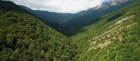 Arial top view of the forest river in by the mountains in the middle of hills Stock Footage 105831290