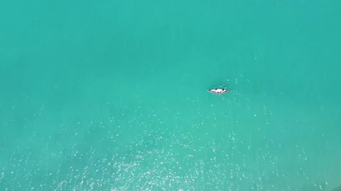 Arial Tracking shot of a canoe in Lake Stock Footage 201886759