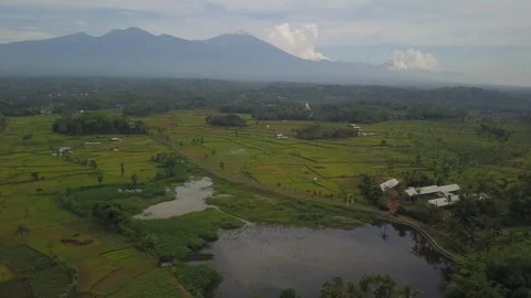 Arial video of rice fields, lake, village, and mountains 스톡 동영상 262440661