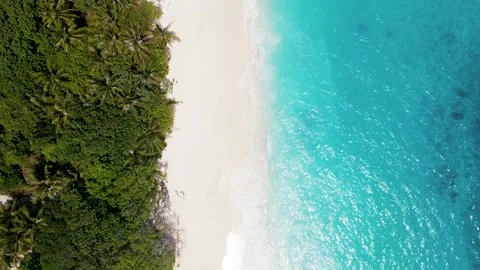 Arial view of a beach Video stock 247492219