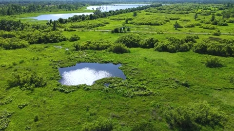 Arial view of a bird skimming a small pond Stock Footage 240941753