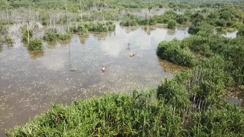 ARIAL VIEW OF CANOEING AT TRBAT RASAU ANCIET RIVER AT LINTANG VILLAGE, BELITUNG Video stock 160985128