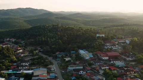 Arial view of cell tower, village and oil palm plantation at Pagoh, Muar Stock Footage 115545985