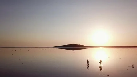 Arial of view from drone when people walk and run around the salt pink lake at Stock Footage 82704562