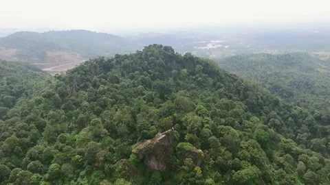 ARIAL VIEW OF FOREST IN MUNARA MOUNTAIN, EAST JAVA, INDONESIA Stock Footage 134893139